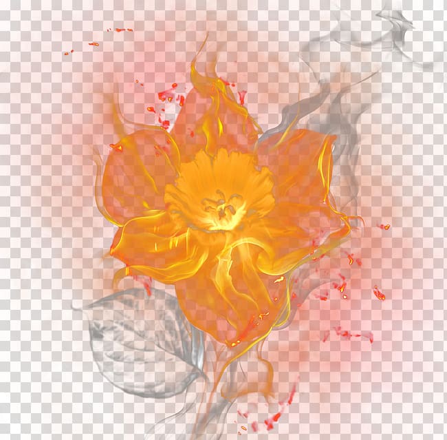 Burning Flowers transparent background PNG clipart