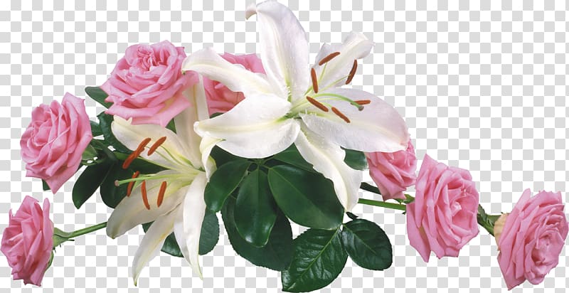 Wedding invitation Lilium candidum Rose Flower bouquet, Roses transparent background PNG clipart