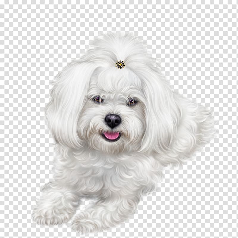 Dog Symbol 0 , Dog transparent background PNG clipart