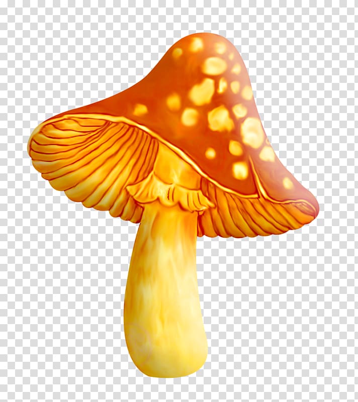 Common mushroom Computer Icons , mushroom transparent background PNG clipart