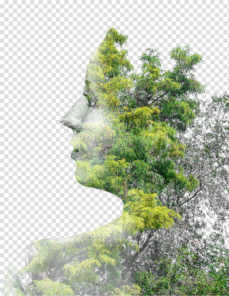 female tree artwork illustration, Tree Multiple exposure , Creative Trees figure in profile transparent background PNG clipart