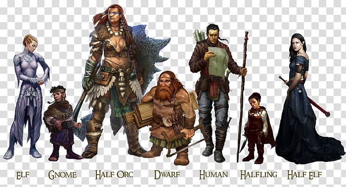 Dungeons & Dragons Pathfinder Roleplaying Game Elf Halfling, dragon transparent background PNG clipart