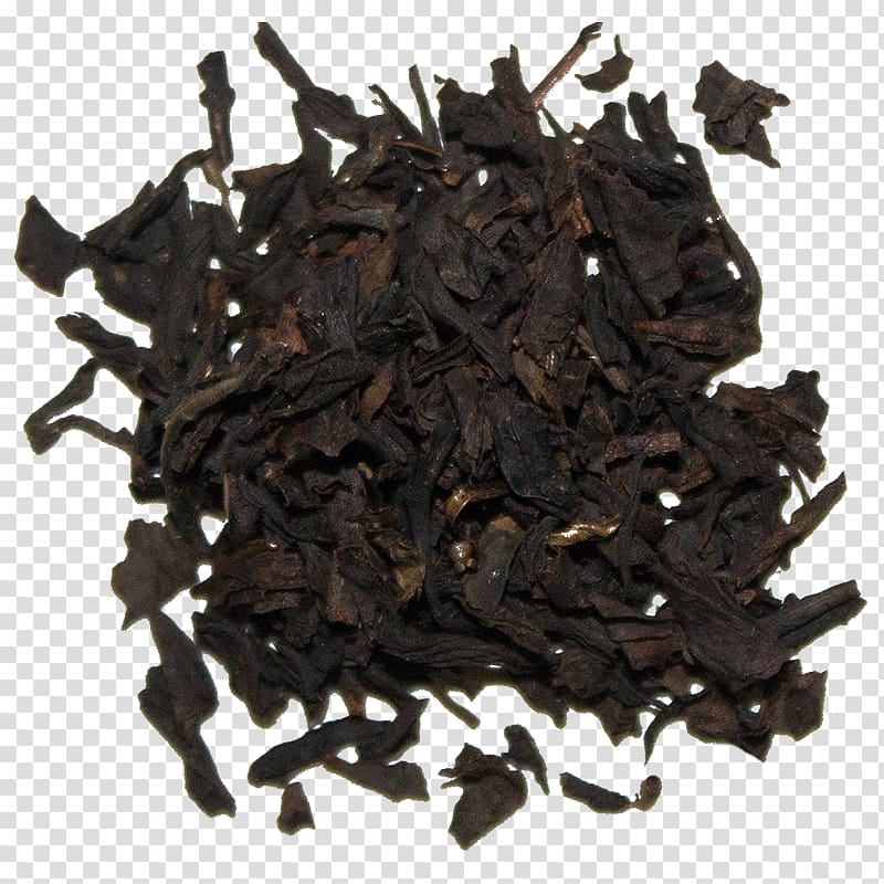 Nilgiri tea Lapsang souchong Charcoal Camellia sinensis, others transparent background PNG clipart