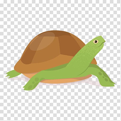 Kemp\'s ridley sea turtle Reptile, tortoide transparent background PNG clipart