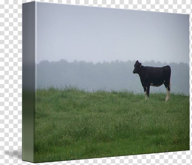 Cattle Pasture Frames Farm Sky plc, Watercolor cow transparent background PNG clipart