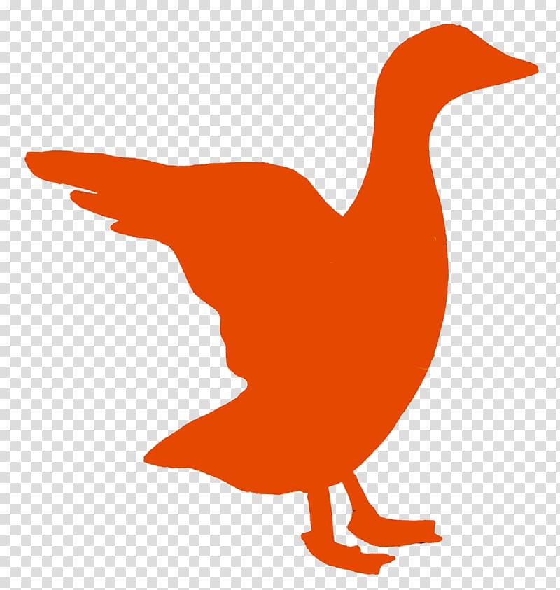 Duck Drake The Bookshop Chicken Goose Bookselling, duck transparent background PNG clipart