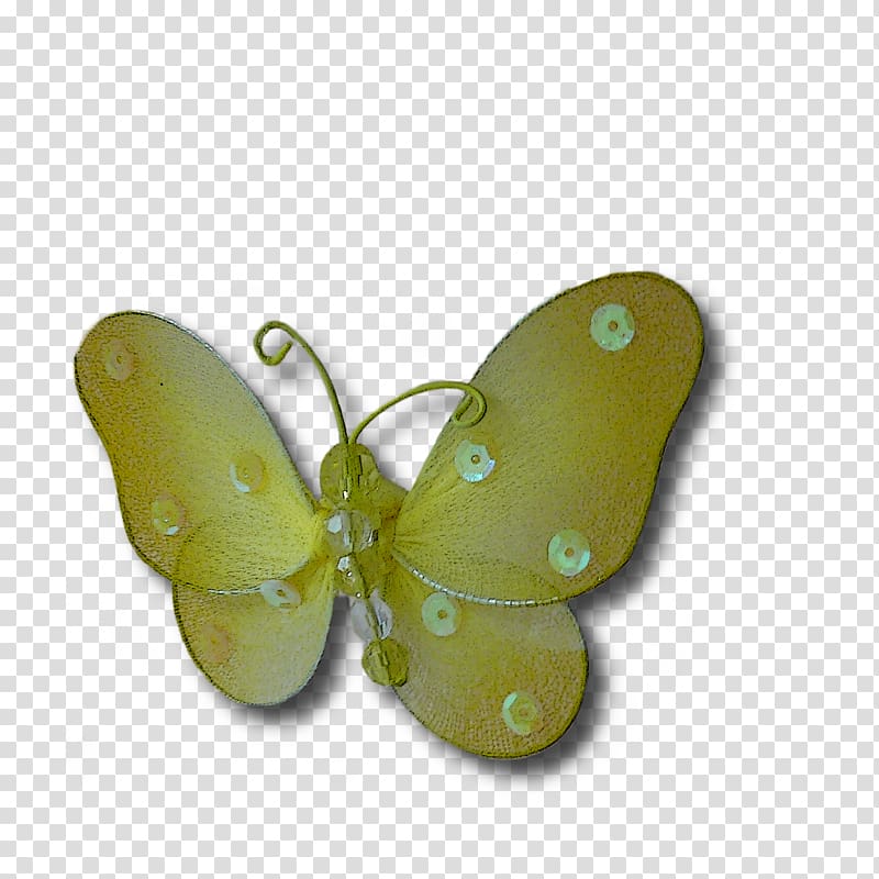 Moth, papillon transparent background PNG clipart