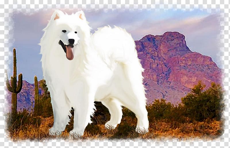 Dog breed Samoyed dog Canadian Eskimo dog White Shepherd American Eskimo Dog, samoyed transparent background PNG clipart