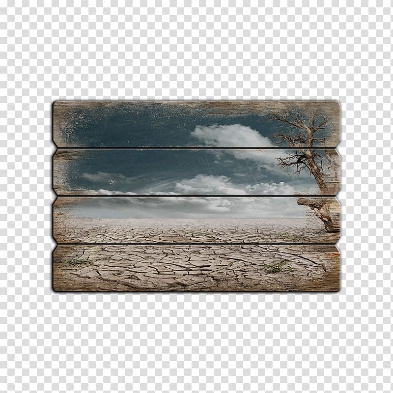 Wasteland Fallout 4 Wood stain University of New England, wood transparent background PNG clipart