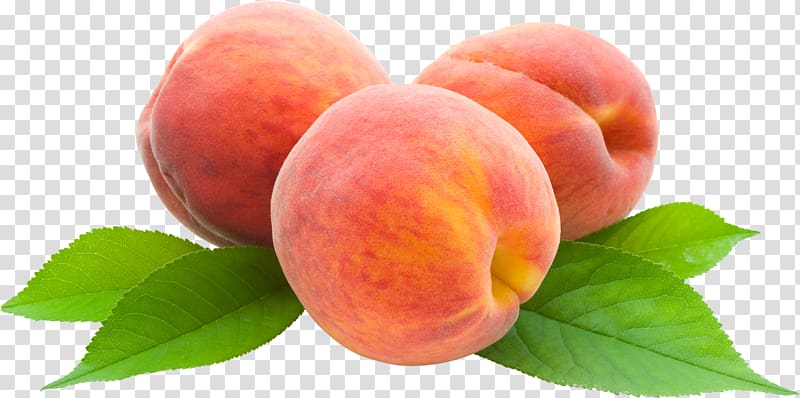 Peach transparent background PNG clipart