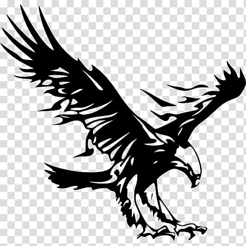 Logo Bald Eagle Golden eagle, eagle transparent background PNG clipart