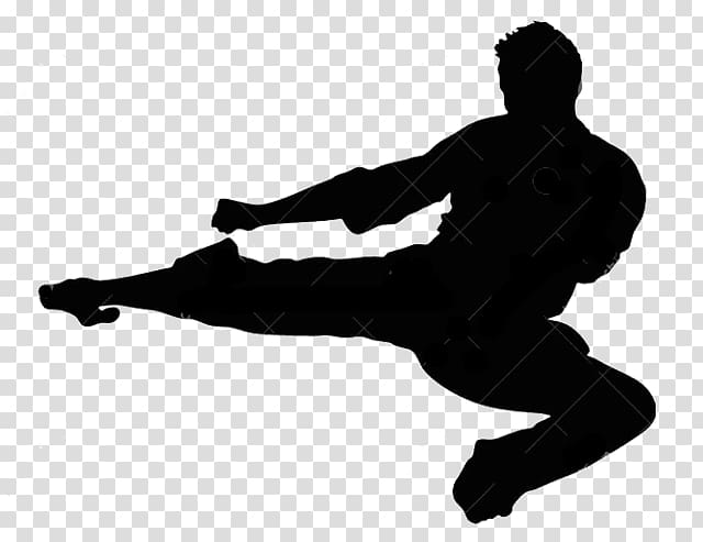 Silhouette Flying kick Taekwondo Martial arts, vip pass transparent background PNG clipart