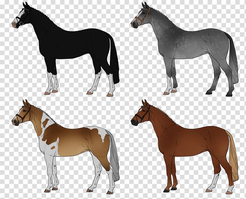 Mongolian horse Pony Drawing, warmblood transparent background PNG clipart