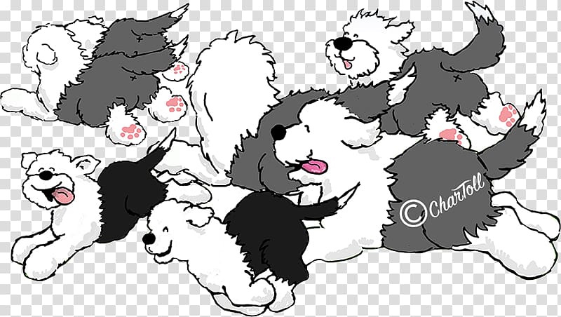 Old English Sheepdog Whiskers Shetland Sheepdog Kitten Breeder, Old English Sheepdog transparent background PNG clipart