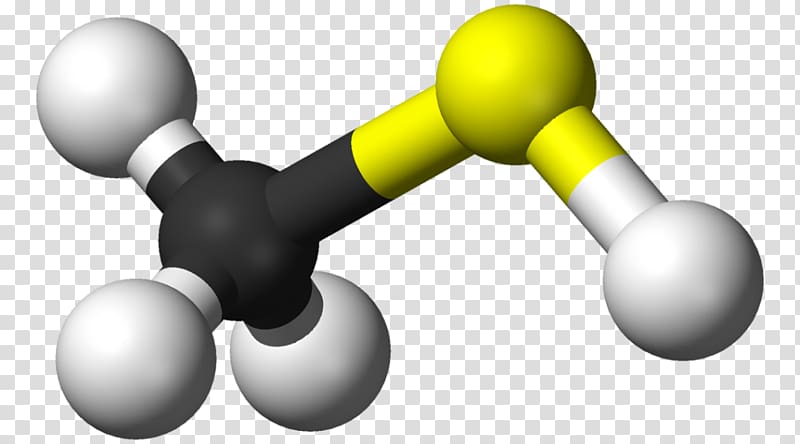 Methanethiol Odor Methyl group Methanesulfonic acid, fart gas transparent background PNG clipart