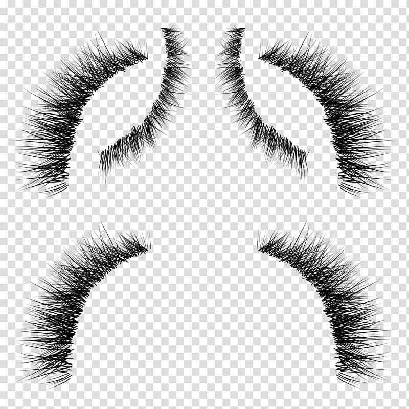 Eyelash extensions Whiskers Eyebrow Cosmetics, eyelashes transparent background PNG clipart
