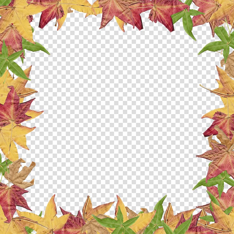 Autumn leaf color , Border Leaves transparent background PNG clipart