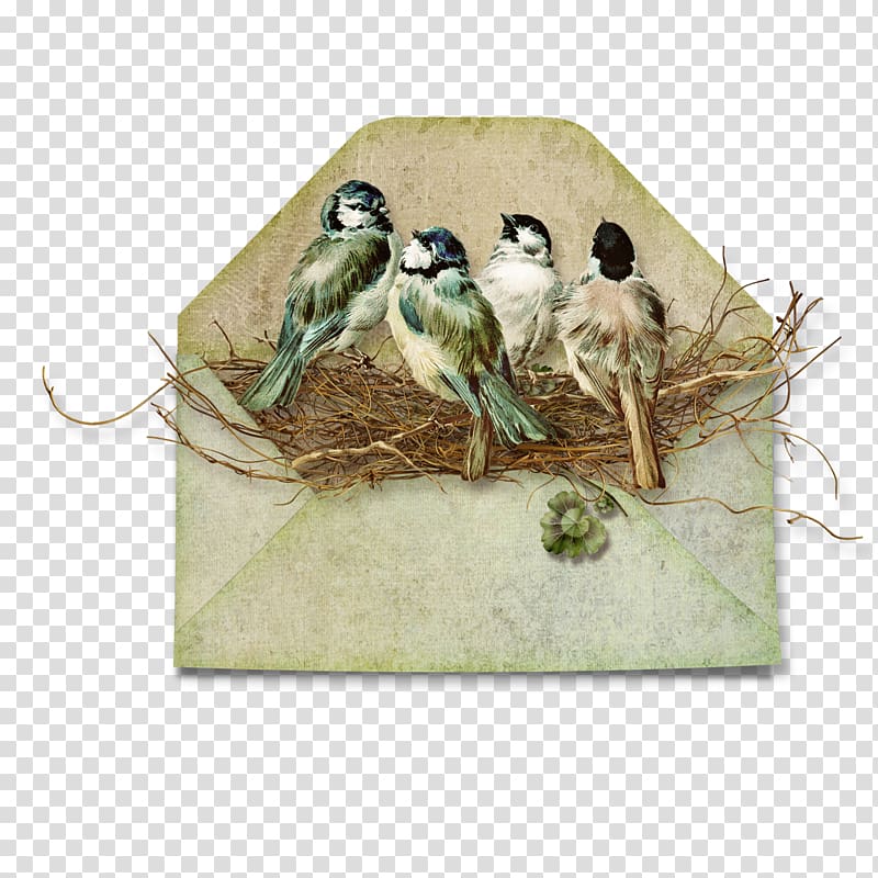 Bird Paper Scrapbooking Envelope , envelope transparent background PNG clipart