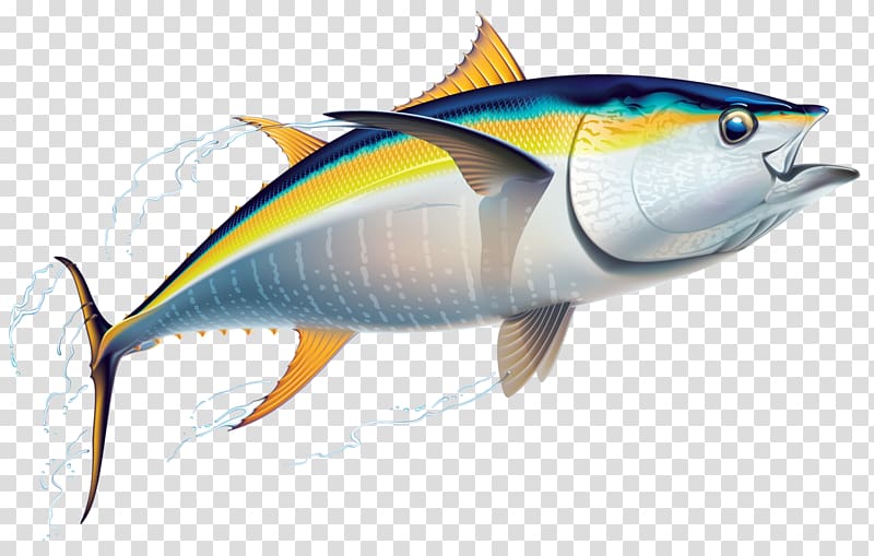 gray and blue tuna fish illustration, Yellowfin tuna Fishing Friend of the Sea, fish transparent background PNG clipart