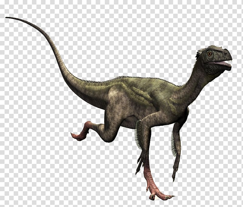 Ornitholestes Compsognathus Dilophosaurus Theropods Dinosaur, dinosaur transparent background PNG clipart