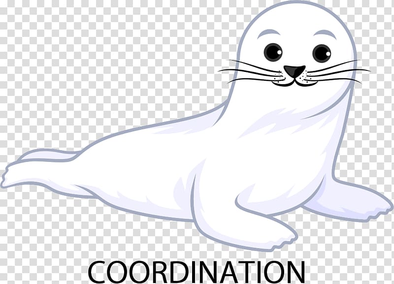 Whiskers Sea lion Cat Line art , Harp seal transparent background PNG clipart