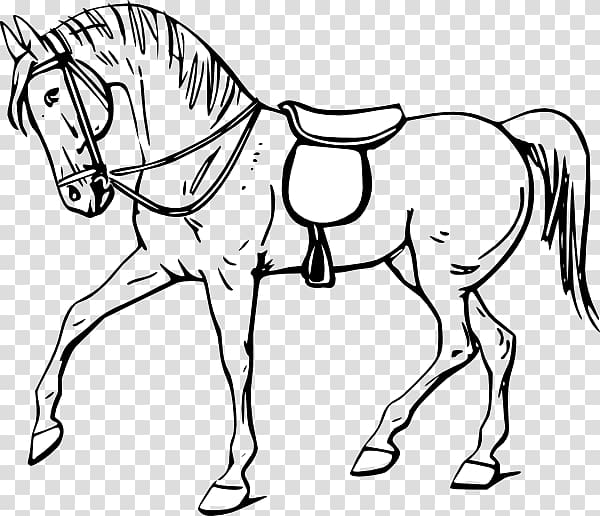 Tennessee Walking Horse Drawing Coloring book , Free Horse transparent background PNG clipart