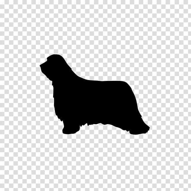 Dog breed Dachshund Dandie Dinmont Terrier Miniature Pinscher Chihuahua, others transparent background PNG clipart
