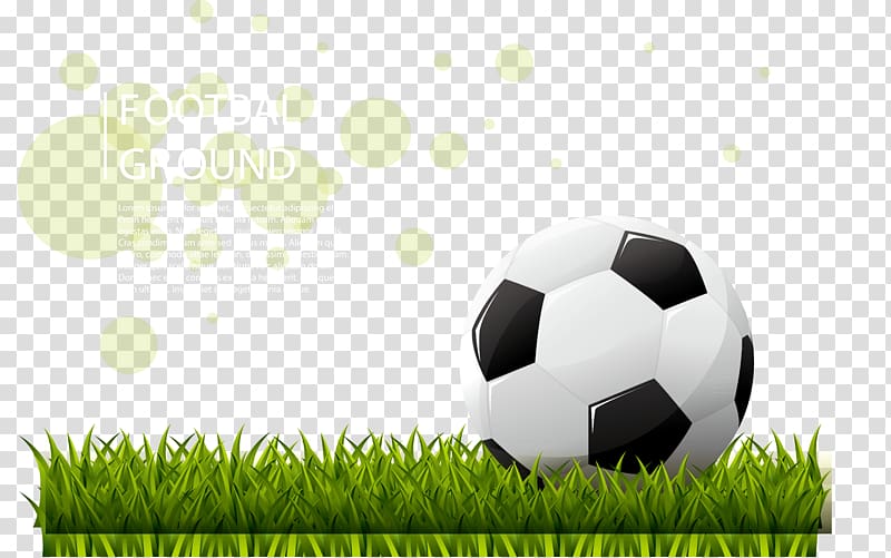 white and black soccer ball with text overlay, FIFA World Cup Football pitch Stadium, The stadium succeeds in playing football transparent background PNG clipart