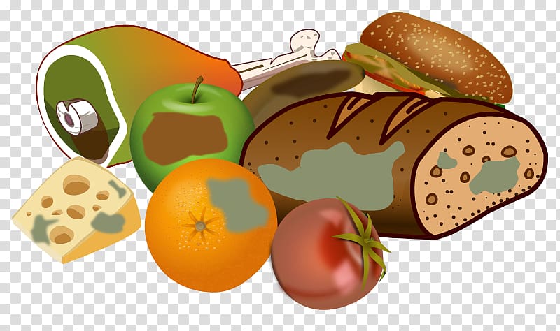 Fast food Hamburger Food waste , Food Waste transparent background PNG clipart