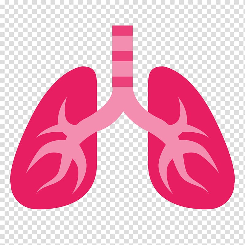 human lungs illustration, Computer Icons Lung, lungs transparent background PNG clipart