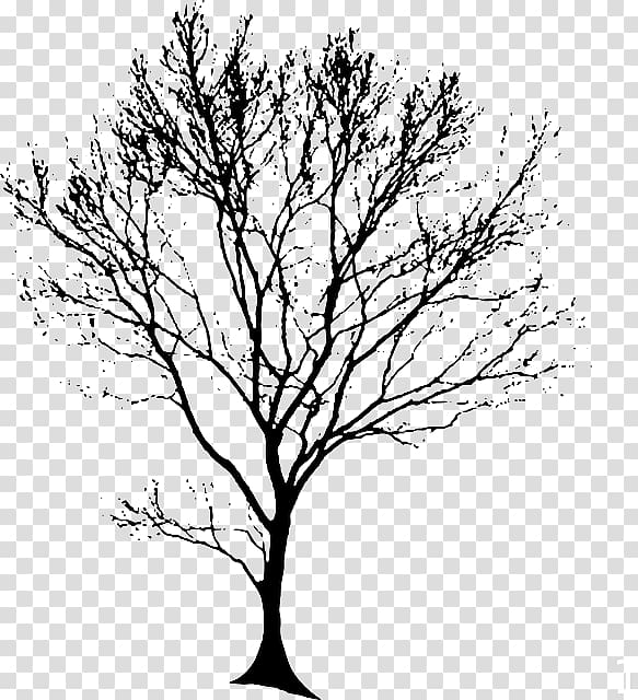Drawing Tree , european flower vine transparent background PNG clipart
