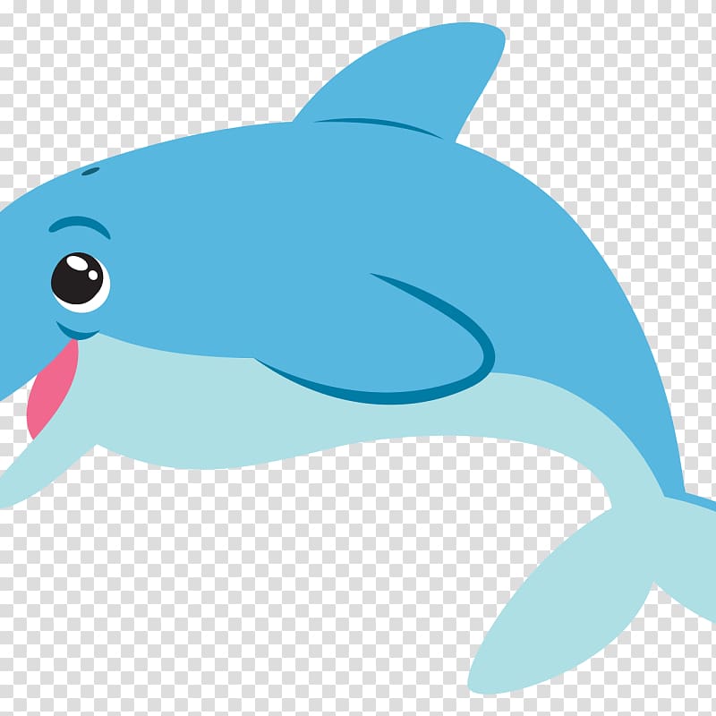 Common bottlenose dolphin Tucuxi , swimming competiton transparent background PNG clipart