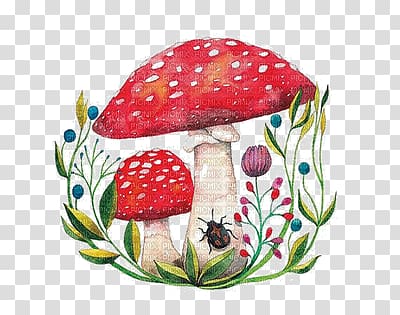 two red mushrooms illustration, Edible mushroom Watercolor painting Fungus, mushroom transparent background PNG clipart
