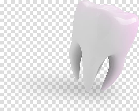 Human tooth Product design, bucky dent transparent background PNG clipart