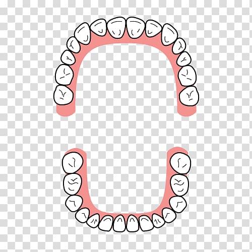 Dentition Tooth Dental braces Dentist Bridge, bridge transparent background PNG clipart