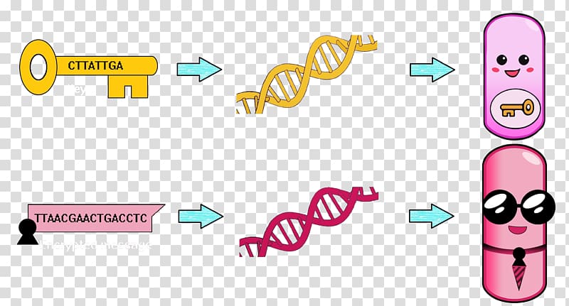 Bacterial genome Hay bacillus Plasmid, spherical cartoon germs transparent background PNG clipart