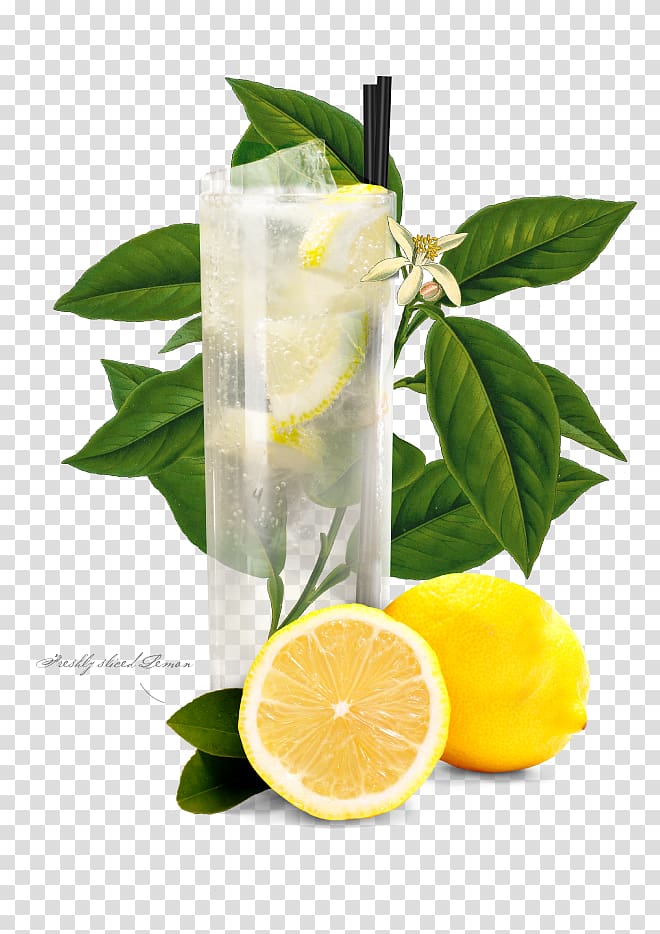 Lemonade Tom Collins Gin Cocktail garnish, lemon transparent background PNG clipart