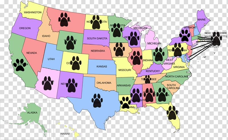 The Lost Dogs: Michael Vick's Dogs and Their Tale of Rescue and Redemption Pet Lost Dogs' Home Animal shelter, Dog transparent background PNG clipart