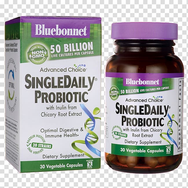 Dietary supplement Probiotic Lactobacillus acidophilus Bacteria Colony-forming unit, bluebonnet transparent background PNG clipart