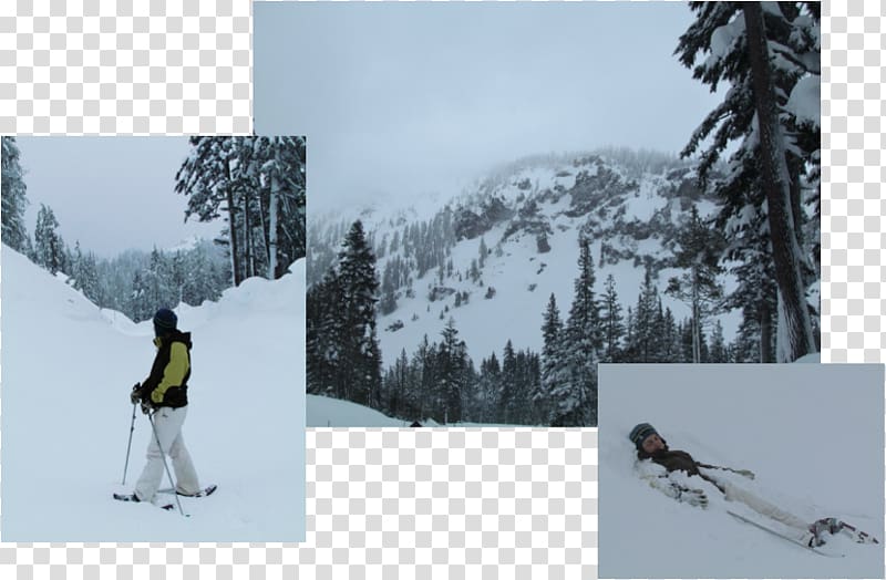 Ski Bindings Ski touring Ski Poles Piste, winter transparent background PNG clipart