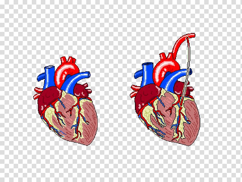 Heart rate Electrocardiography Cardiac muscle Myocardial infarction, a bundle of balloons transparent background PNG clipart