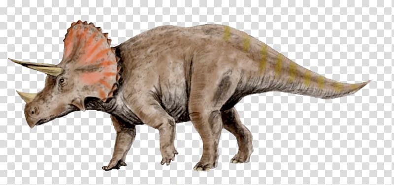 Triceratops Tyrannosaurus Pachyrhinosaurus Utahceratops Torosaurus, dinosaur transparent background PNG clipart