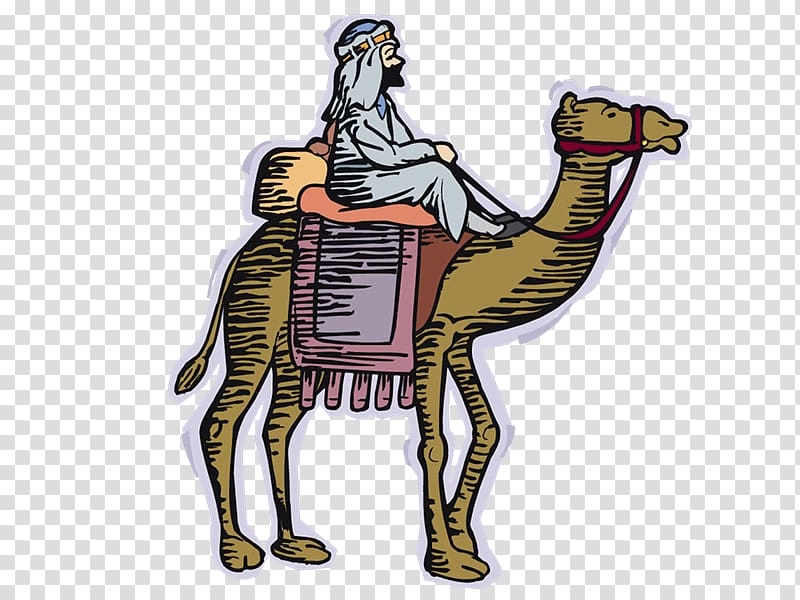 Bactrian camel Horse Equestrian, yi transparent background PNG clipart