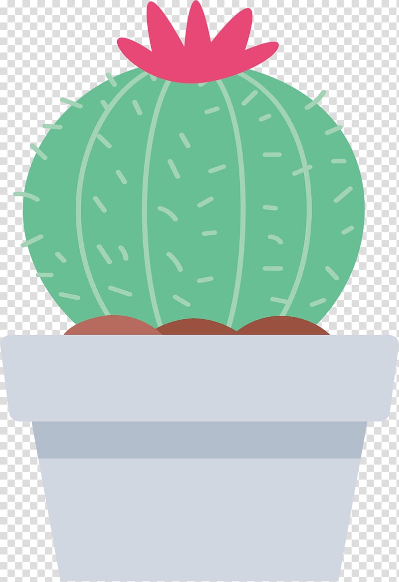 Cactaceae Euclidean , Lovely flowering cactus transparent background PNG clipart