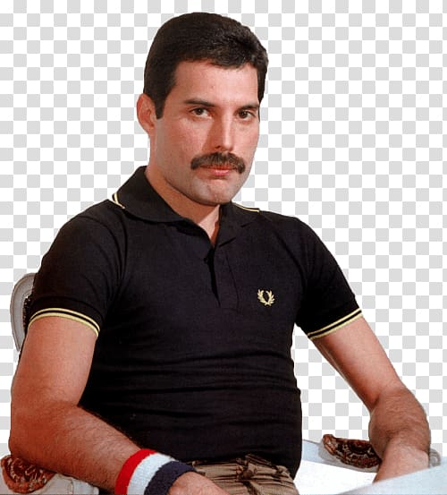 man in black polo shirt sitting, Freddie Mercury Sitting transparent background PNG clipart