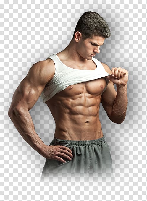 Anabolic steroid Clenbuterol Dietary supplement Pharmaceutical drug, others transparent background PNG clipart