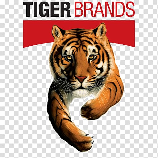 2017–18 South African listeriosis outbreak Tiger Brands Chief Executive, Tony The Tiger transparent background PNG clipart