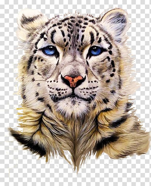 brown, black, and white leopard painting, Snow leopard Tiger Clouded leopard Painting, Snow leopard head portrait drawing transparent background PNG clipart
