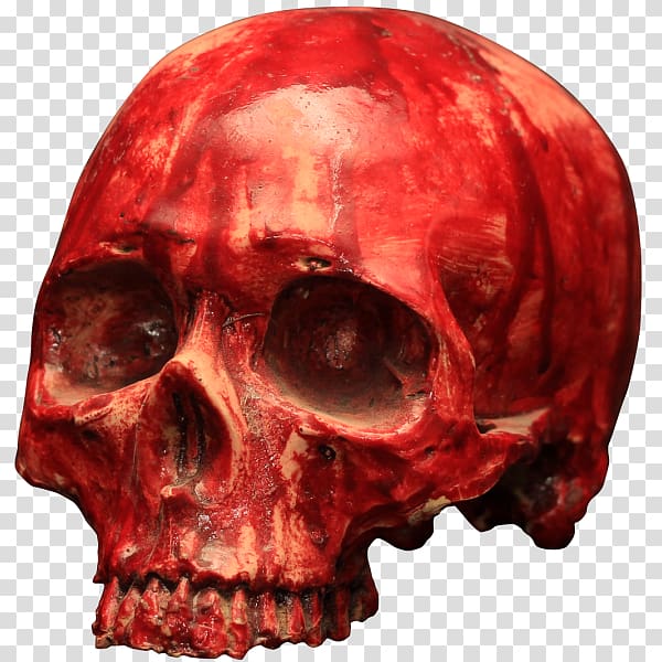 Skull Blood Skeleton Bone 骷髅, skull transparent background PNG clipart