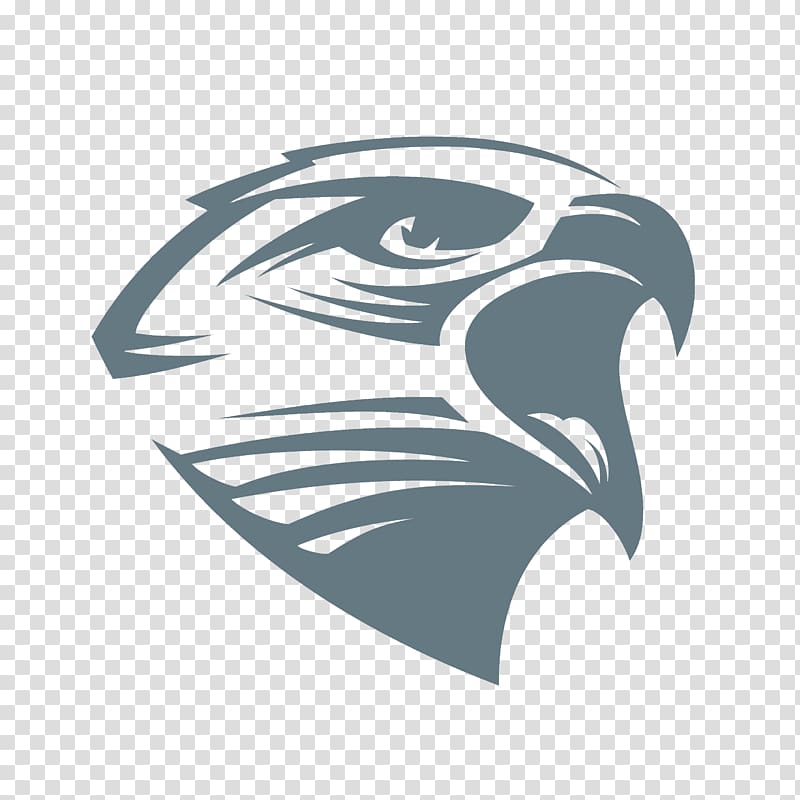 Bald Eagle Logo, Hawk transparent background PNG clipart
